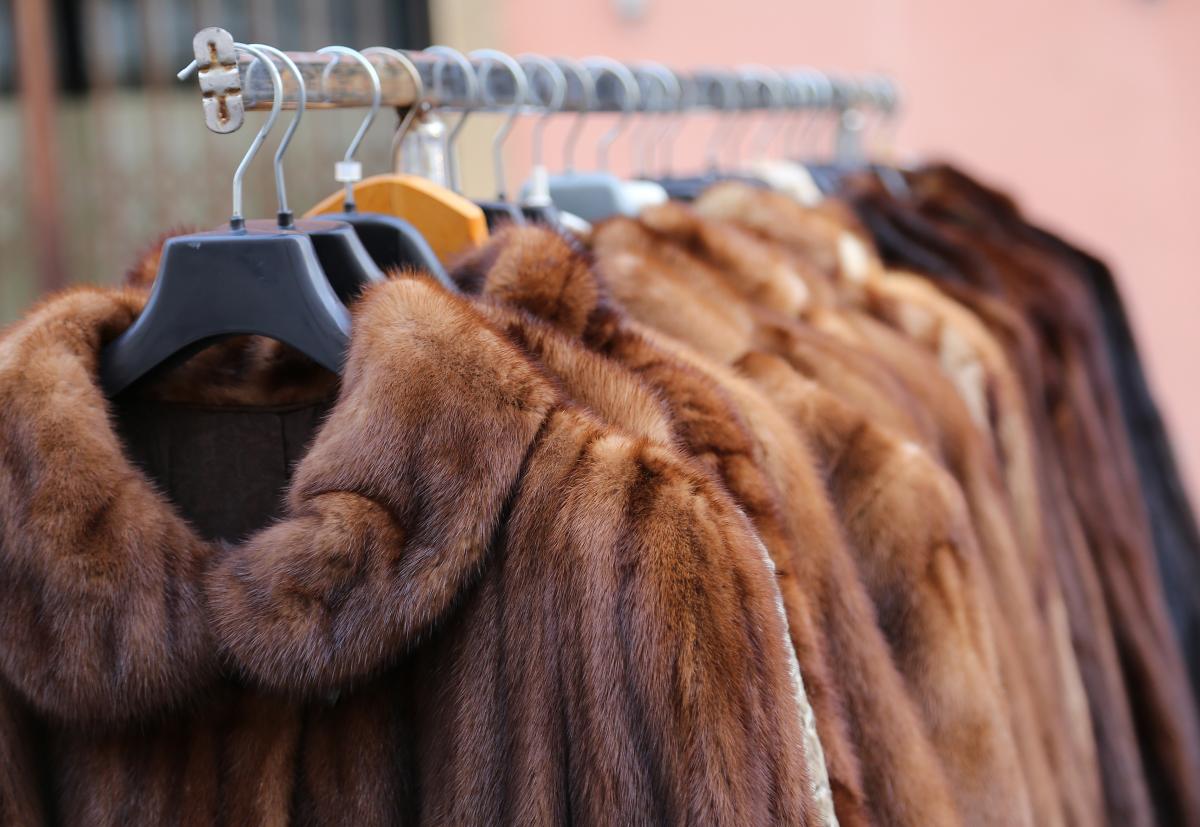 Real fur is making a comeback after years of exile: “You’ll see it on the runway again”