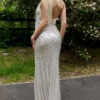 Silver Gown