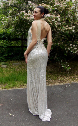Silver Gown