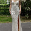Silver Gown