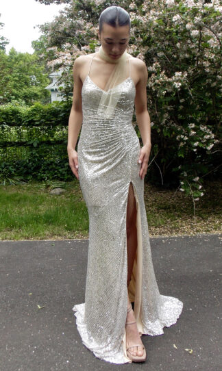 Silver Gown